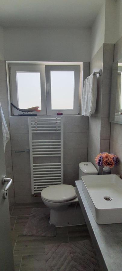 Apartmani Fenestra Tesla I Faust オトチャッツ エクステリア 写真