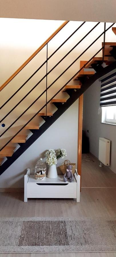 Apartmani Fenestra Tesla I Faust オトチャッツ エクステリア 写真